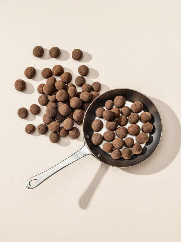 Noisettes enrobées de chocolat noir