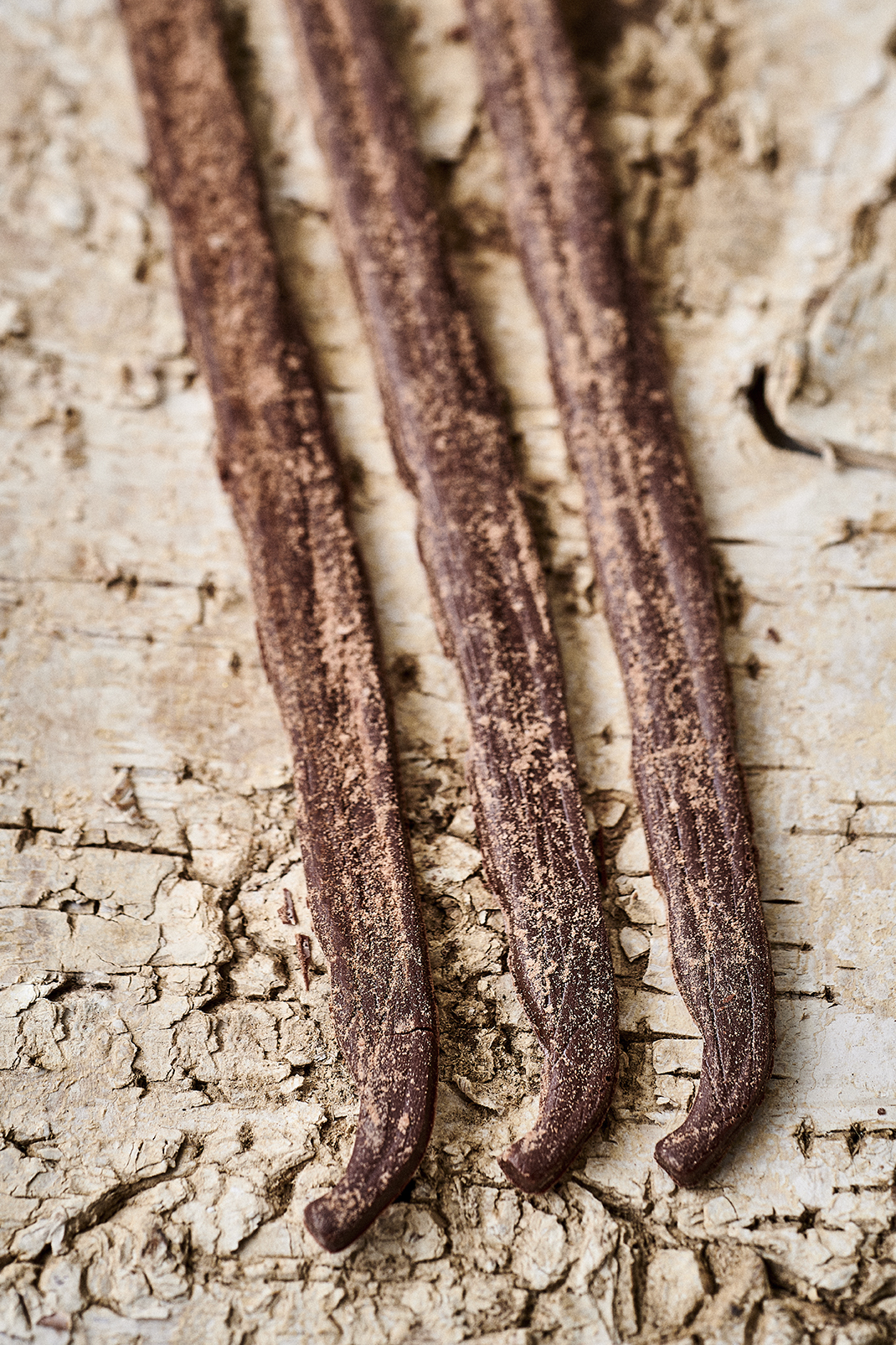 Le Duo d'Incontournables – Image 2